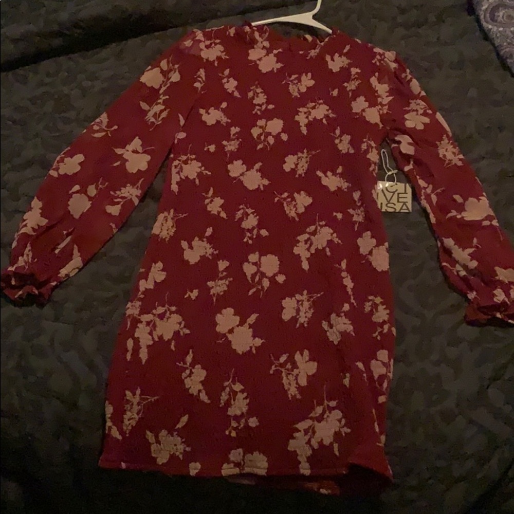 NWT Pale pink and Red Body Con Dress